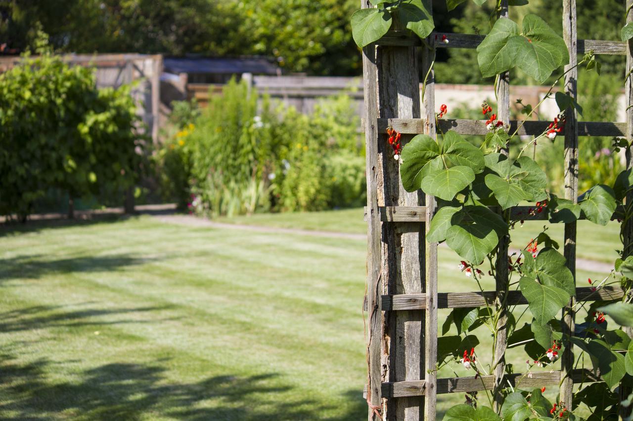 Magpies Lodge Slinfold ภายนอก รูปภาพ